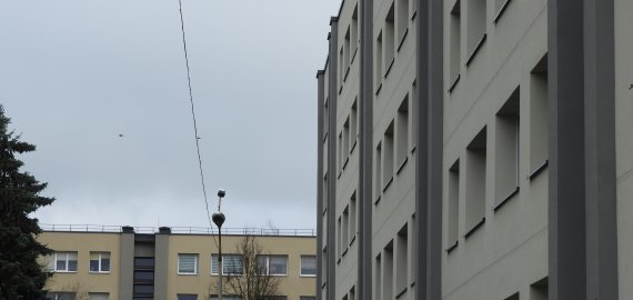 R. Karbauskis siūlo NT apmokestinimo lengvatą šeimoms su 3 vaikais