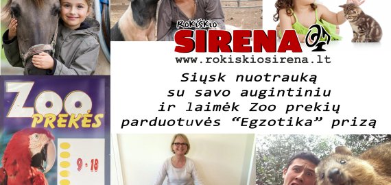 Prasideda Facebook nuotraukų konkursas naminių gyvūnėlių mylėtojams!