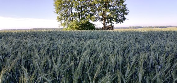 Derybos baigtos: parama žemės ūkiui didės
