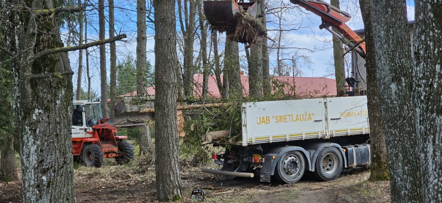 Tvarkomas parkas tarp Rokiškio rajono ligoninės ir psichikos centro (foto+video)