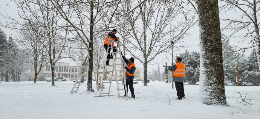 L. Šepkos parko medžių alėja netrukus suspindės lempučių girlianda (foto+video)