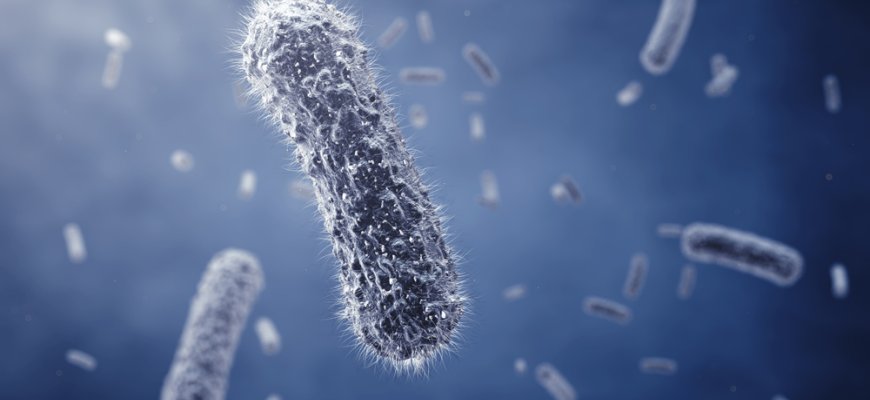Reta infekcine liga užsikrėtė panevėžietis