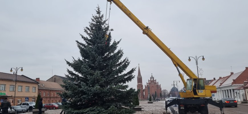 Nepriklausomybės aikštę pasiekė Kalėdų eglė iš čedasiškės kiemo (foto+video)
