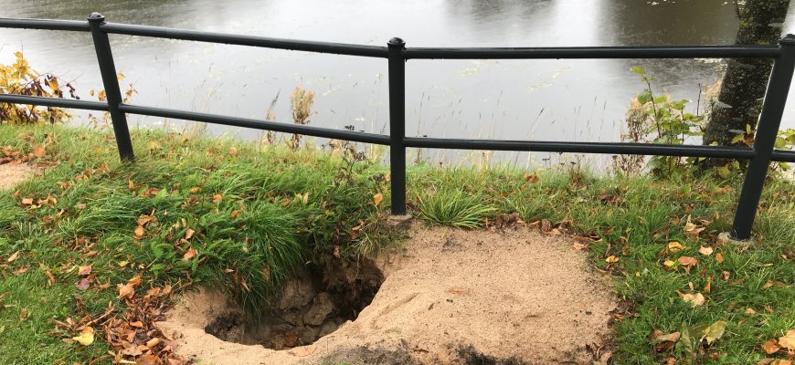 Alėjoje apsilankė bebrai - išrausė urvus, apgadino tvorą (foto)