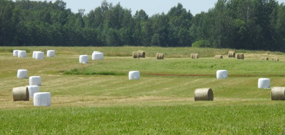 Informacija dėl buhalterinės apskaitos tvarkymo besiverčiantiems individualia žemės ūkio veikla