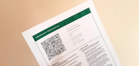 Svarstoma dėl galimybių paso pristatymo į namus