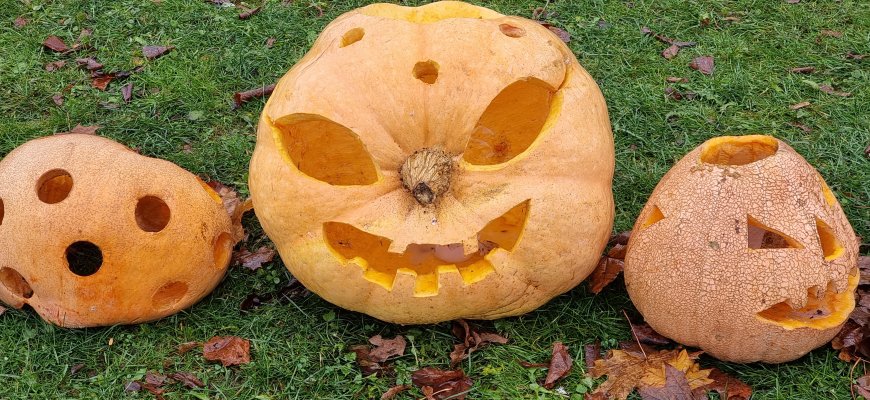 Kviečia prisidėti prie tradicijos Juodupėje – „Šviečiančių moliūgų kiemelis