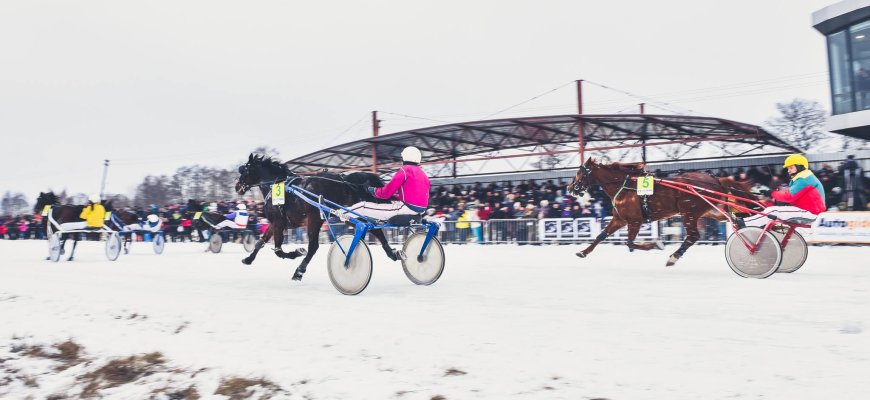 Atidedamos Sartų žirgų lenktynės