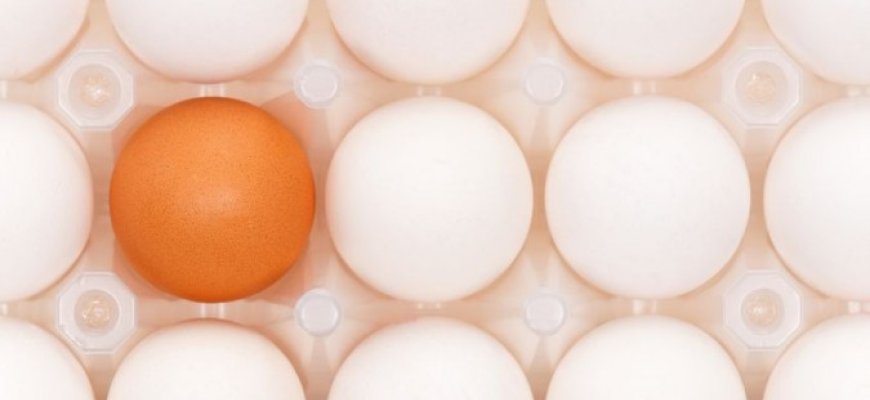 Žarnyno infekcinės ligos: kaip nuo jų apsisaugoti vasarą?