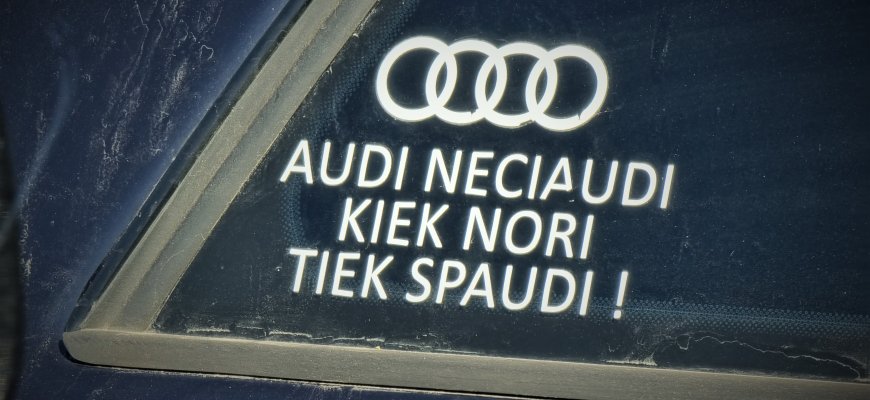 Neblaivus vairavo „Audi“