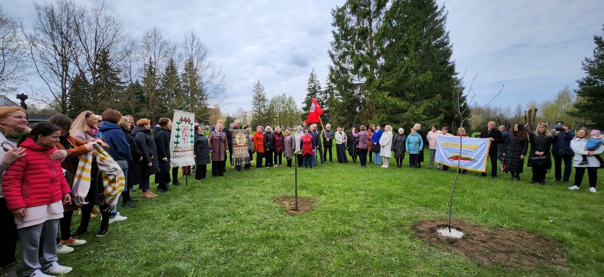 L. Šepkos parke nuo šiol žaliuos šimtmečio dainų šventės ąžuolas (foto)