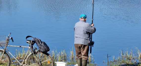 Įsigaliojo draudimas žvejoti kiršlius ir sterkus