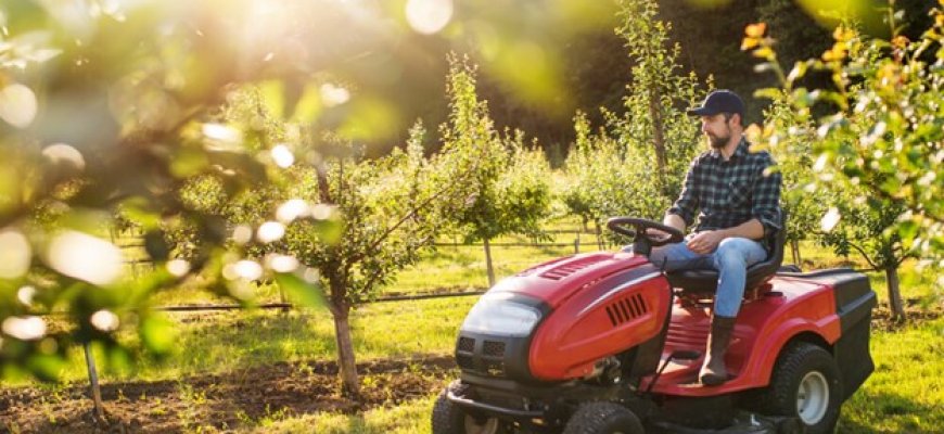 5 mitai, kuriuos dažniausiai girdime apie sodo techniką