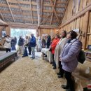 „Galukiemis“ dar kartą įrodė: teiginiai, kad šalies rajonuose nėra kultūros – mitas (foto)