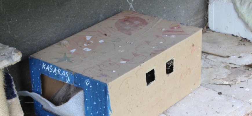 „Kačių viešbučiu“ pavadintas prieglobstis po balkonu