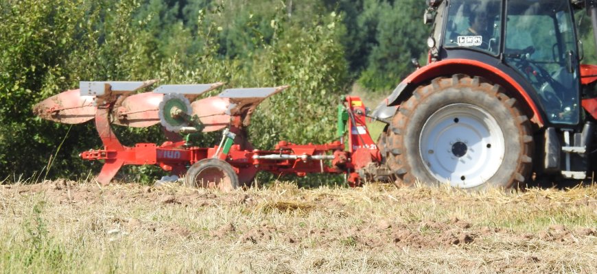 Lietuvos ūkininkams išartų pievų šiemet atkurti nereikės