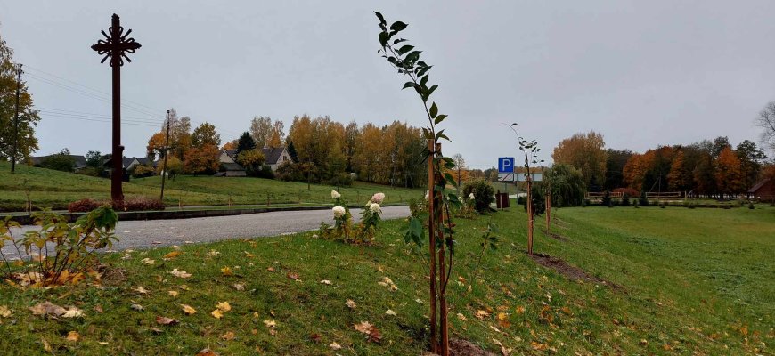 Sakuros juosia rajoną: pavasarį pražys Obeliuose ir Jūžintuose