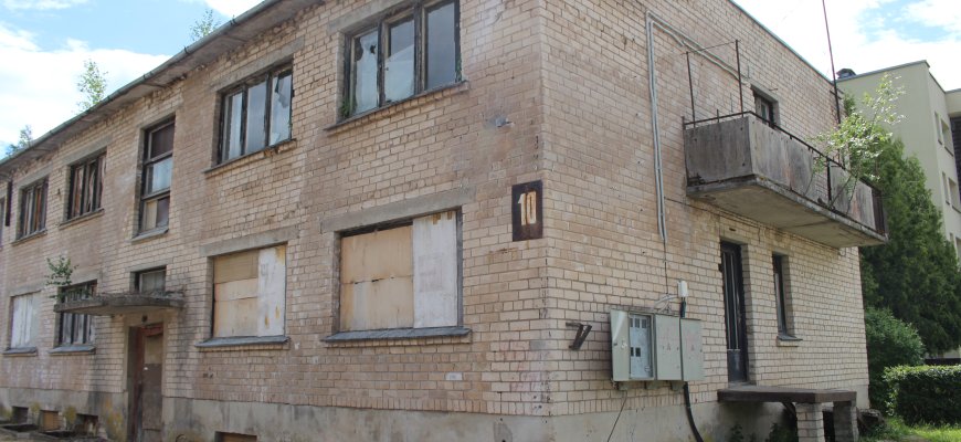 Obeliuose savas „Pentagonas“: Juodupės gremėzdo jaunesnysis brolis