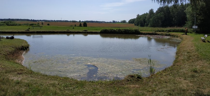 Kiemo tvenkinyje rado karo laikų sprogmenį