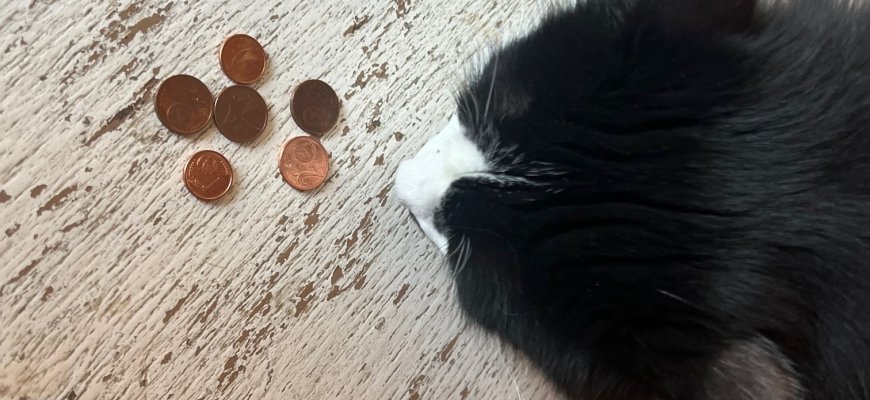 Lietuvos bankas ragina gyventojus išsikeisti 1 ir 2 centus