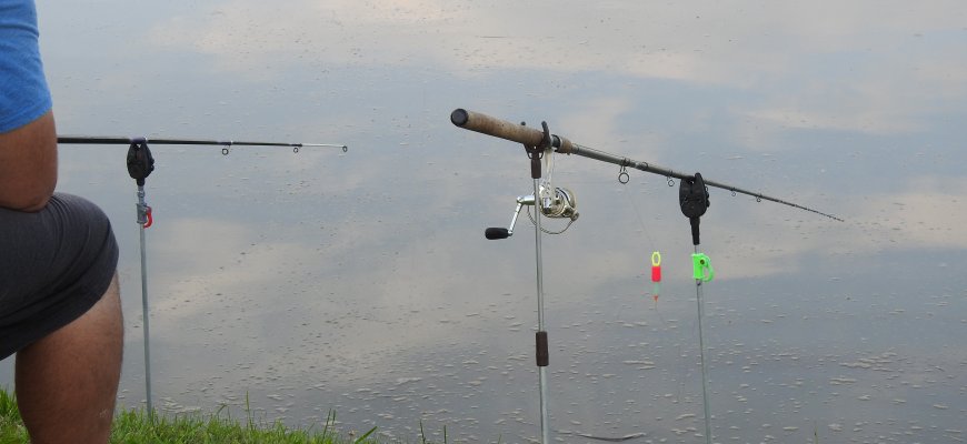 Sugautą lašišą ar šlakį nuo spalio 1-osios privaloma paleisti