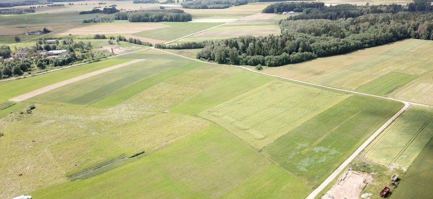 Šiemet žemės mokesčio terminas - lapkričio 17 diena