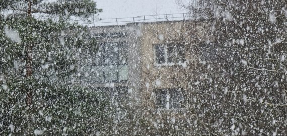 Šildymo sezono pabaiga Rokiškyje? Nieko apie tai negirdėjom... (video+foto)