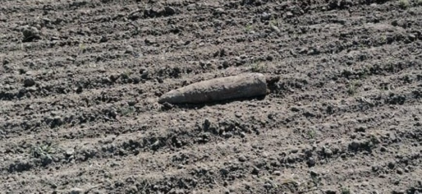 Prasidėjus sėjos laikui atsirado darbo ir išminuotojams