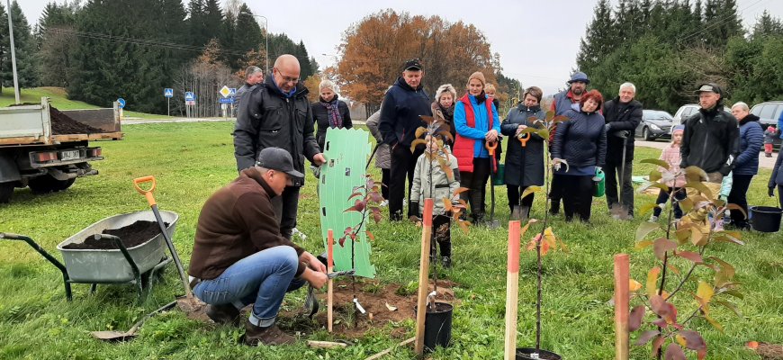 Obeliečiai pasodino rojaus obelų sodą (foto)