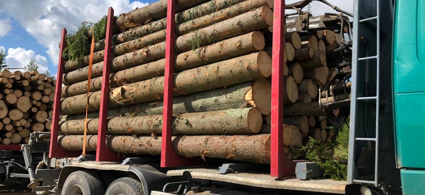 Aktualu: dėl apvaliosios medienos gabenimo ir eismo ribojimo