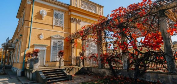 Pergolės – išskirtinės gėrybės sode ir kieme