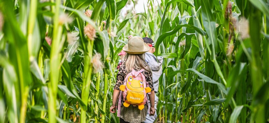 Šiai pramogai išbandyti – vos pora mėnesių: šioje vietoje tą galite padaryti nemokamai (foto)