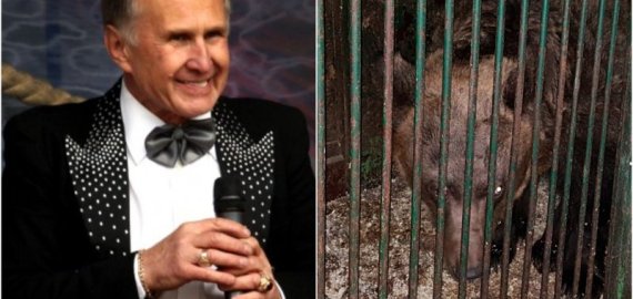 Rokiškio rajone iš Zobovo cirko dingo meška