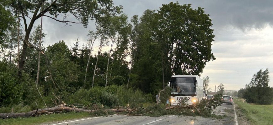 Ilgąjį savaitgalį vėjo talžytas Rokiškis: darbingas savaitgalis ugniagesiams, bet ramesnis policijos pareigūnams