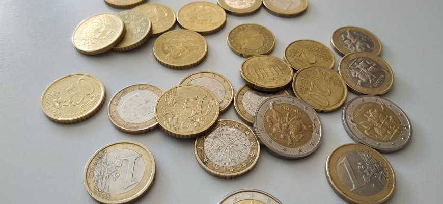V. Šapoka: turime galvoti apie augančią Lietuvos skolą