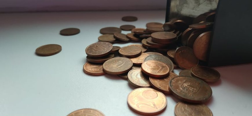 Pajamų mokesčio dalį paramai ketinantys skirti gyventojai turi dar dvi savaites