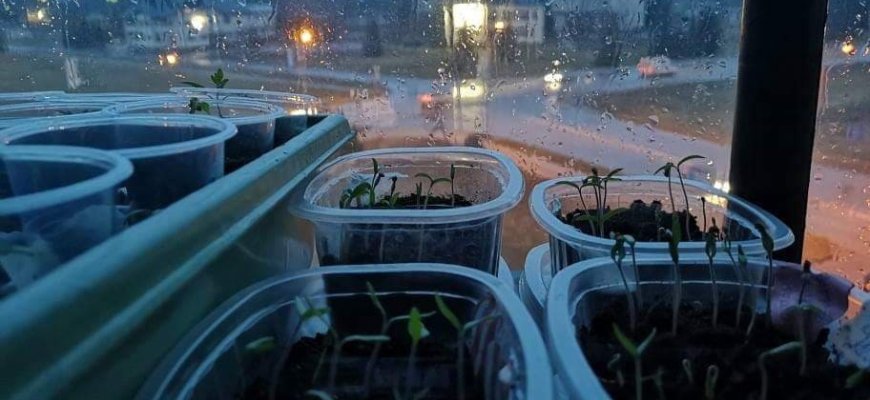 Svarbiausi kovo darbai darže ir gėlyne – ką jau galima daryti, ko dar ne