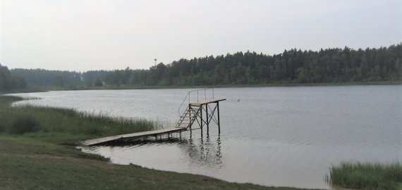 Trijose šalies maudyklose nustatyta tarša, viena iš jų - Vyžuona