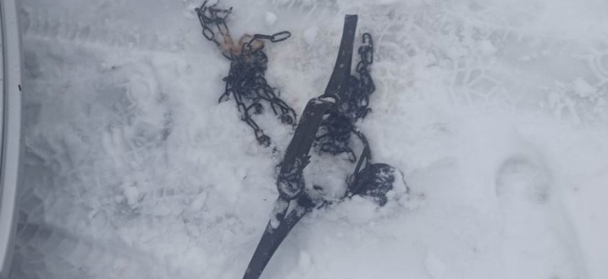 Panevėžio aplinkosaugininkų nustatyti asmenys turėjo ir galūninių spąstų, ir tinklų