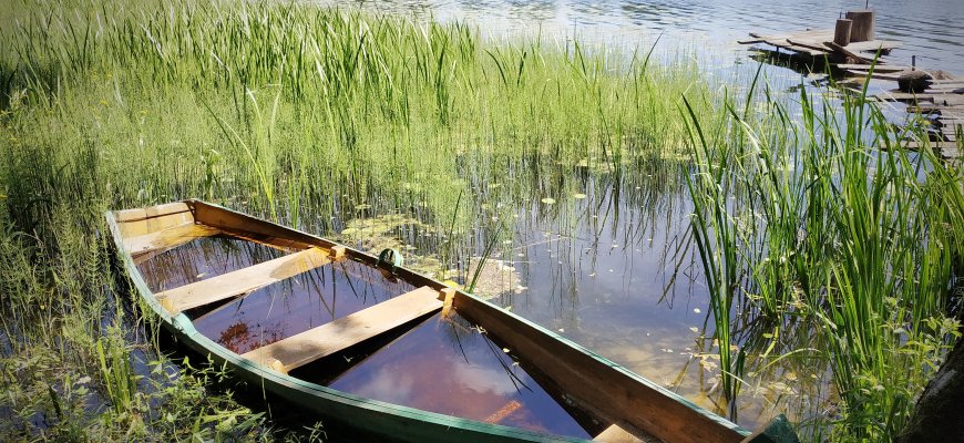 Saugus elgesys prie vandens ir vandenyje
