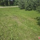 Juodupės g. nukrito gandralizdis - nutraukė elektros laidus (foto)