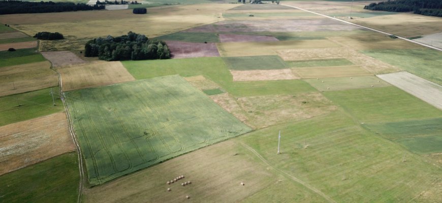 NŽT vieną kartą per savaitę Rokiškio gyventojus aptarnaus gyvai