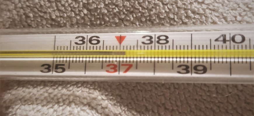 Atgaivinta kompiuterinė sistema: per parą covid-19 diagnozuotas 39 rajono gyventojams