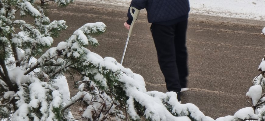 Reorganizuoja negaliai ar darbingumui nustatyti galiojusią tvarką