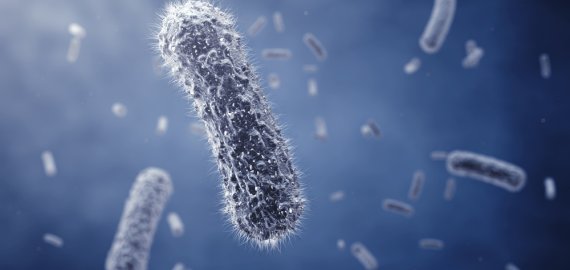 Reta infekcine liga užsikrėtė panevėžietis