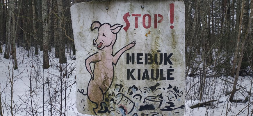Šiemet pakelėse jau surinkta tris kartus daugiau atliekų nei pernai