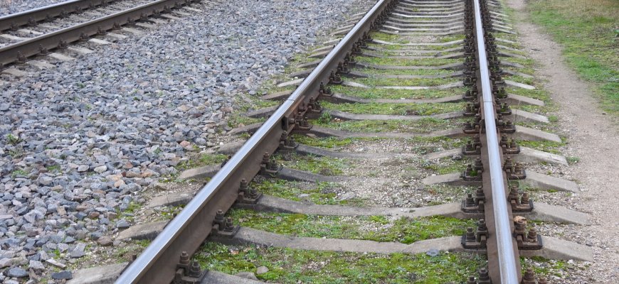 Tarp ištremtųjų – daugiausia buvo iš Rokiškio rajono