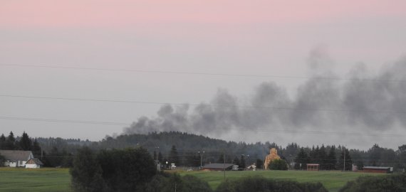 Kaip elgtis miškuose siekiant nesukelti gaisro