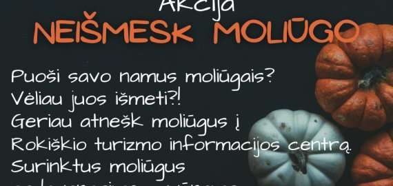 Rokiškio turizmo ir amatų informacijos centras skelbia akciją „Neišmesk moliūgo“