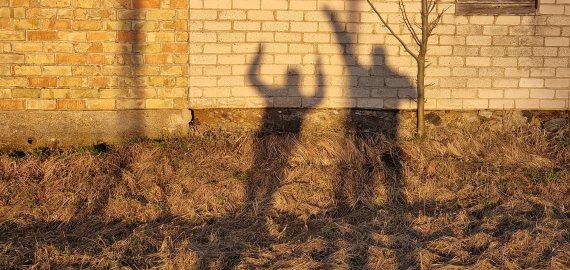 Galimybių pasą bus galima gauti specialiame interneto puslapyje